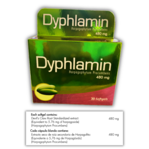 Dyphlamin Harpagofito 480 mg – 30 caps Healthy america