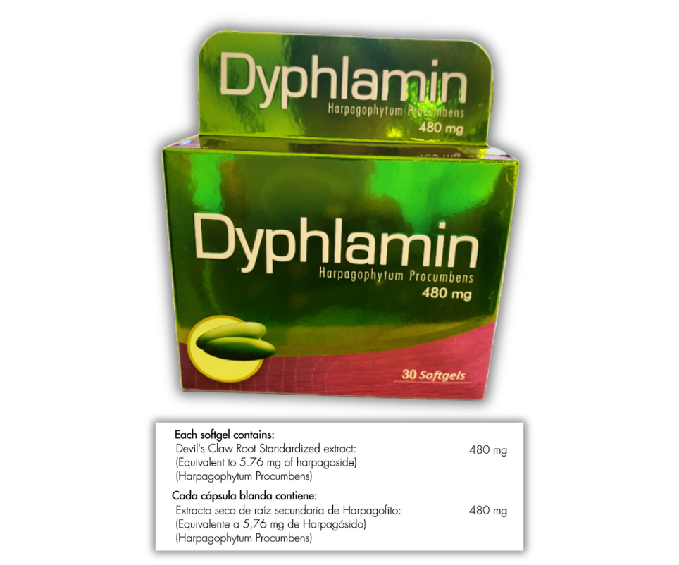 Dyphlamin Harpagofito 480 mg – 30 caps Healthy america